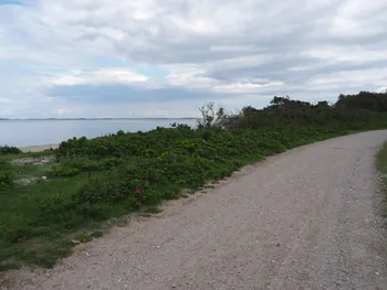 Halshuisene + Enebaerodde Beach (Denemarken)